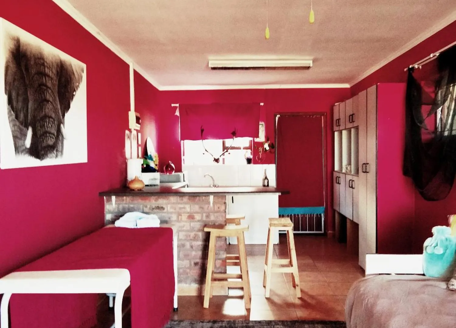Addo'S Secret Backdoor Apartment Port Elizabeth South Africa