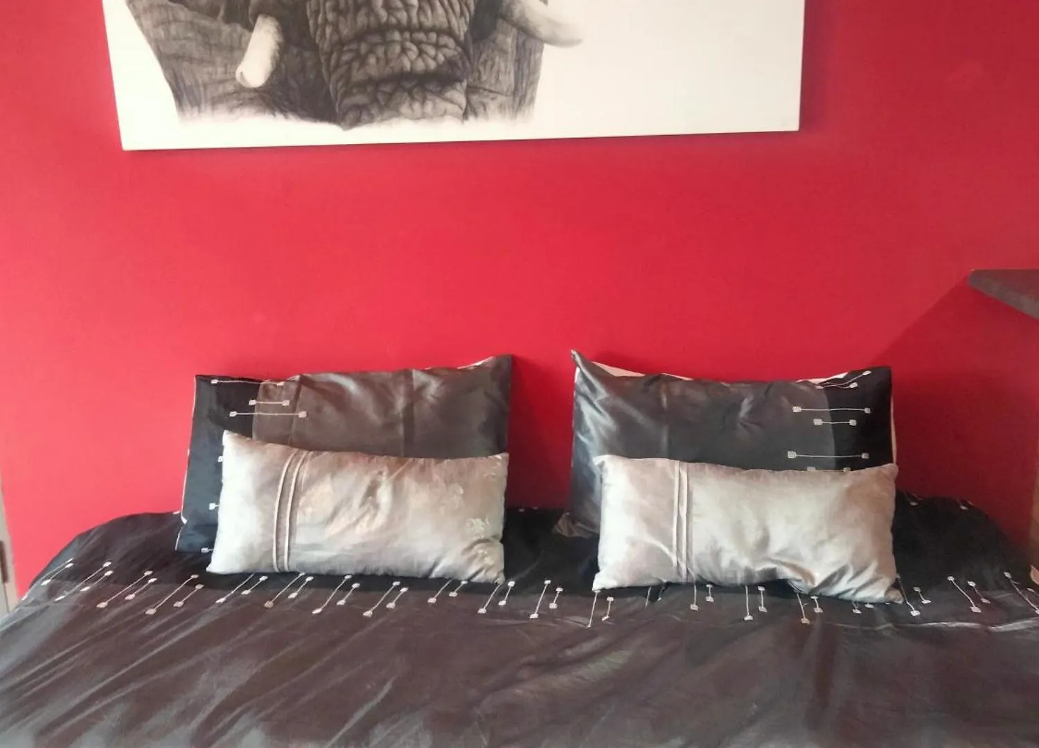 Addo'S Secret Backdoor Apartment Port Elizabeth South Africa